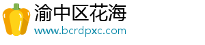 渝中区花海
